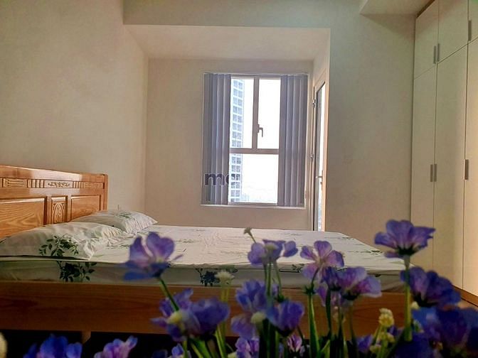 Hình ảnh Em Đang cần cho thuê Trang Chủ MB66.COM / Đăng Ký Tặng 66K cao cấp Sunrise City View 40m2, Officetel