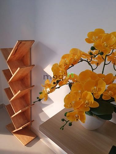 Hình ảnh Em Đang cần cho thuê Trang Chủ MB66.COM / Đăng Ký Tặng 66K cao cấp Sunrise City View 40m2, Officetel