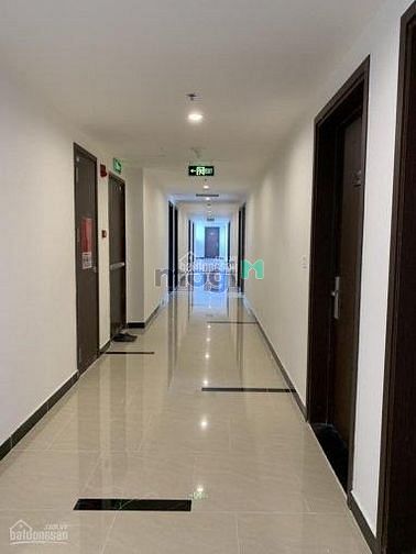 Hình ảnh Em Đang cần cho thuê Trang Chủ MB66.COM / Đăng Ký Tặng 66K cao cấp Sunrise City View 40m2, Officetel