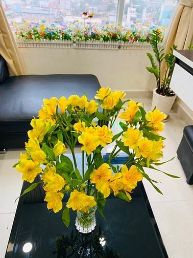 Hình ảnh Trang Chủ MB66.COM Chính Thức 8x Rainbow Q. Bình Tân Cho Thuê 2PN Full Nội Thất