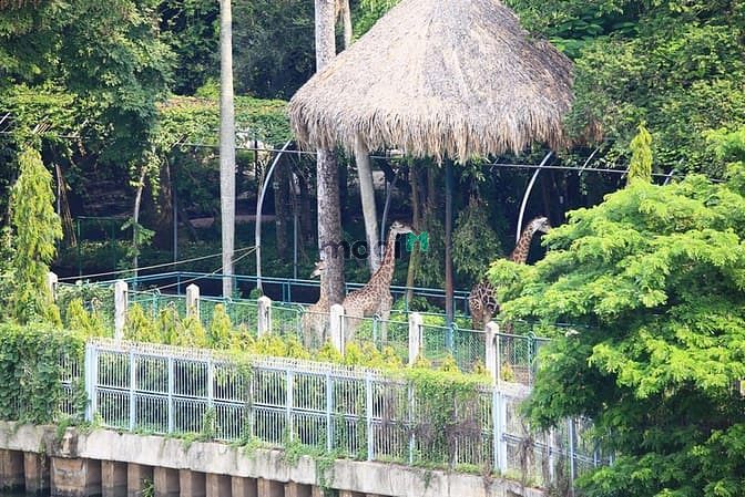 Hình ảnh Căn Hộ Trường Sa view Thảo Cầm Viên Bình Thạnh