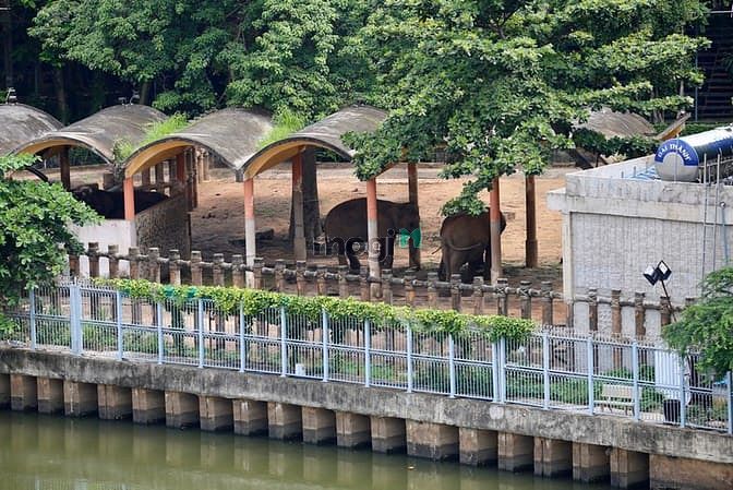 Hình ảnh Căn Hộ Trường Sa view Thảo Cầm Viên Bình Thạnh