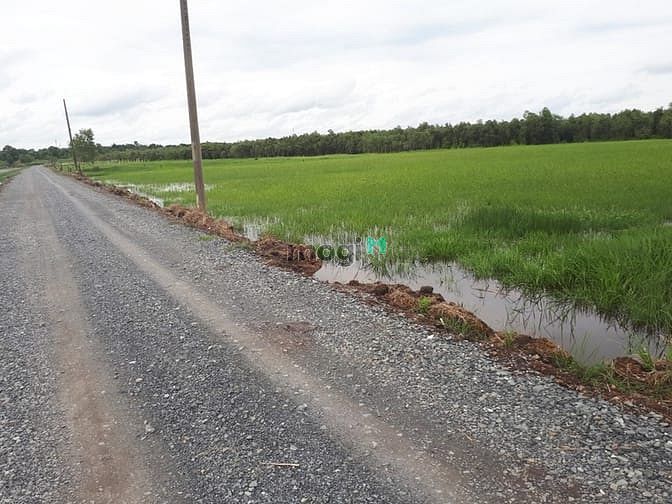 Hình ảnh Cần bán gấp 3300m2 đất sổ riêng,chỉ 1ty5, thái mỹ,củ chi ,tphcm