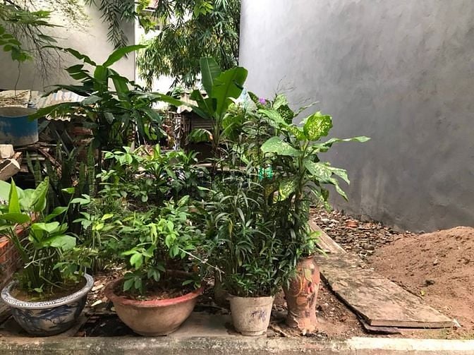Hình ảnh Bán gấp mảnh đất đẹp khổ đất như bao diêm 2,2tỷ Hoàng Như Tiếp, Bồ Đề