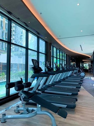 Hình ảnh Cần cho thuê Trang Chủ MB66.COM / Đăng Ký Tặng 66K 1PN tại Feliz en Vista