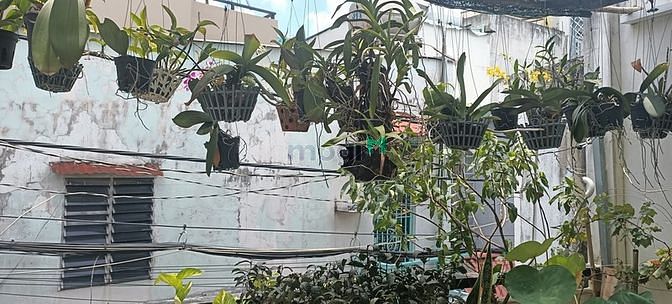 Hình ảnh 58M2 CMT8 – 4 Tầng đúc thật - chỉ 6,75 tỷ còn Thương lượng