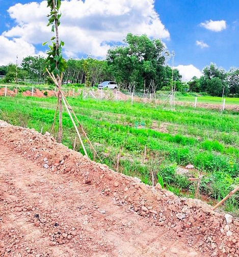 Hình ảnh Sáng Cọc Chiều Công Chứng.Đất Vườn 583m2 Giá 660Triệu