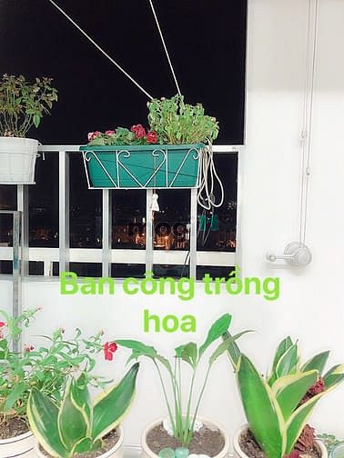 Hình ảnh ✔ Cần bán CHCC BÔNG SAO 67m 2pn 1wc - Có 1 số nội thất