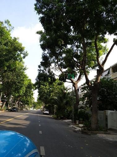 Hình ảnh Cho thuê biệt thự Mỹ Thái, Phú Mỹ Hưng, Q.7, thuê ở và làm văn phòng