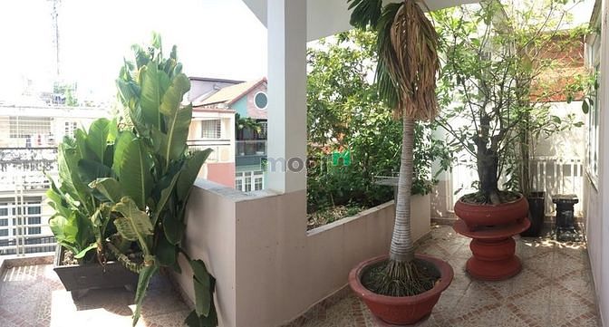 Hình ảnh Cho thuê nhà đường Trường Sơn quận Tân Bình 9x21m