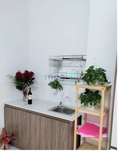 Hình ảnh Căn Hộ Cho Thuê 35m2 full nội thất, có ban công giá 5tr3 ở Tân Bình