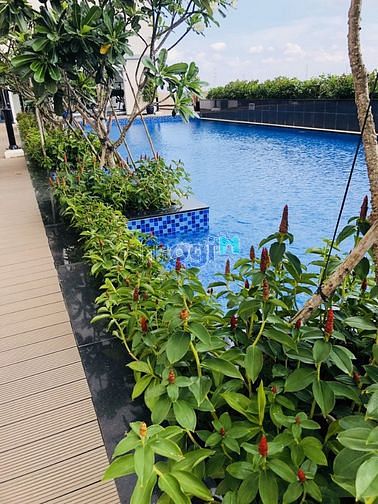Hình ảnh ✔ Cho thuê CHCC DRAGON HILL 2 - 58m 2pn 1wc - Nội thất cơ bản