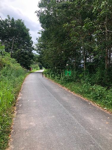 Hình ảnh Cần bán đất đường 762 - xã An Nhơn Tây - Củ Chi