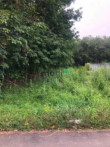 Hình ảnh Cần bán đất đường 762 - xã An Nhơn Tây - Củ Chi