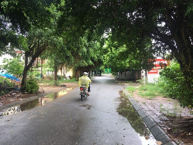 Hình ảnh Cần tiền thực sự bán gấp ô đất 60m đường Vũ Xuân Thiều. Lh 0977.528.66