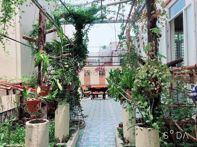 Hình ảnh hẻm Nguyễn Hữu Dật Quận Tân Phú, 68 m2 (4m x 17m), 4 tầng, 8.2 Tỷ