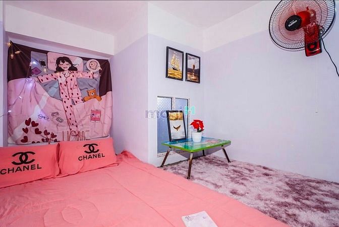 Hình ảnh Khai trương hệ thống Trang Chủ MB66.COM / Đăng Ký Tặng 66K chung cư mini có gác Quận Tân Bình siêu rẻ