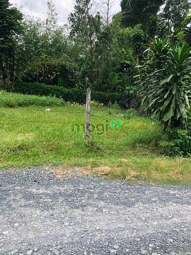 Hình ảnh Cần bán đất đường 591 - xã Trung Lập Hạ - Củ Chi