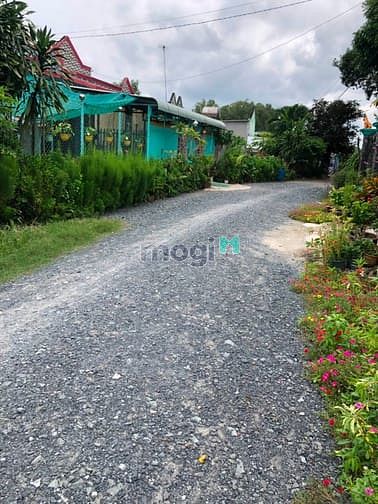 Hình ảnh Cần bán đất đường 591 - xã Trung Lập Hạ - Củ Chi