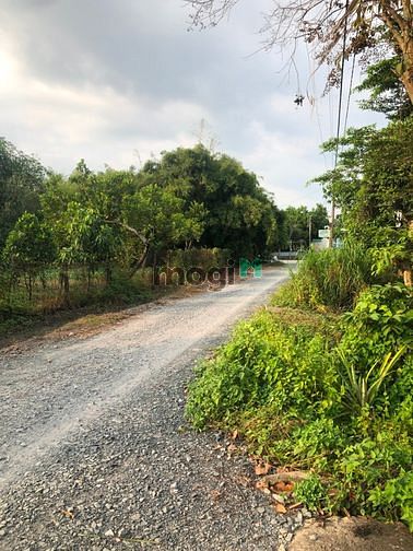 Hình ảnh Cần bán nhà đường 363 - xã Tân An Hội - Củ Chi