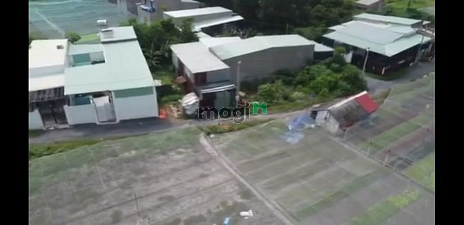 Hình ảnh Bán 6,5 sào đất KP 4 Trảng Dài, Biên Hòa