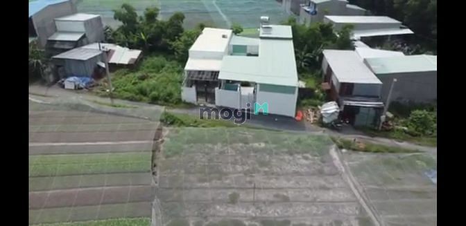 Hình ảnh Bán 6,5 sào đất KP 4 Trảng Dài, Biên Hòa