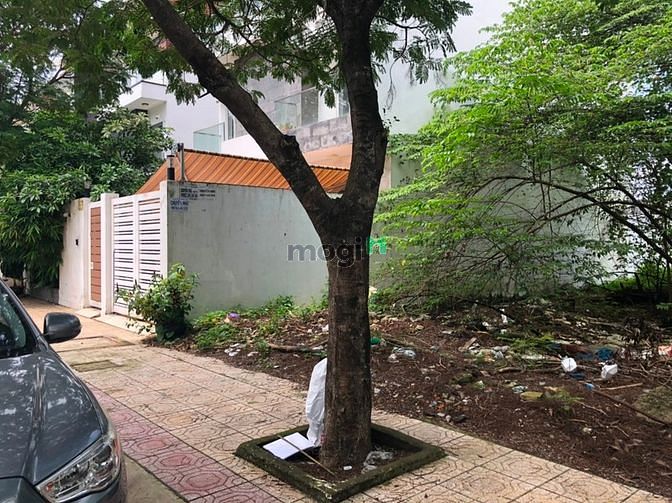 Hình ảnh Nhiều đất nên cần bán bớt - Đất nền Xây Biệt thự Vị trí đẹp giá tốt