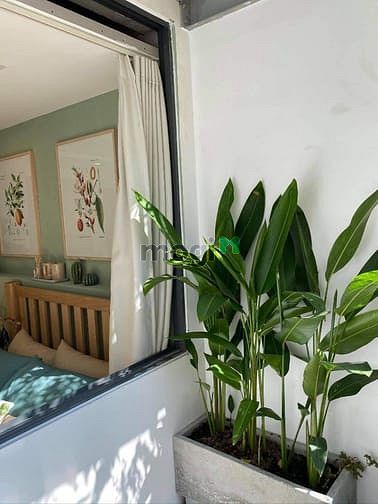Hình ảnh Căn Hộ Cao Cấp mới xây 35m2 full nội thất giá 4tr7 ở Gò Vấp