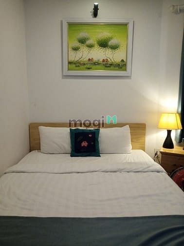 Hình ảnh Shock Căn Hộ minu Quận 1 Full NT_Có Ban Công_Phố Tây Giá Cực Rẻ