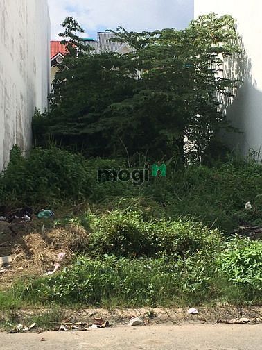 Hình ảnh Lô Đất Khu VIP Kiều Đàm Hẻm 793 Đường Trần Xuân Soạn, Tân Hưng, Quận 7