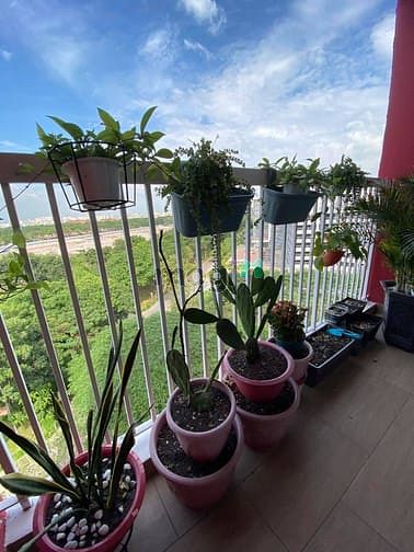 Hình ảnh Chung cư CELADON CITY 95m² 3PN 2WC Quận Tân Phú Cực Rẻ