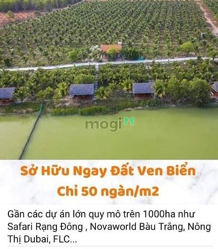 Hình ảnh Bán 1,5hec đất trồng cây lâu năm xã Hòa Thắng, Bắc Bình, SHR