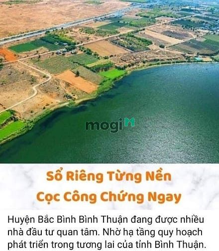 Hình ảnh Bán 1,5hec đất trồng cây lâu năm xã Hòa Thắng, Bắc Bình, SHR