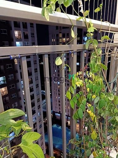 Hình ảnh Bán Trang Chủ MB66.COM / Đăng Ký Tặng 66K Richstar tân Phú, 53m2 2PN, Full nội thất cao cấp như hình,