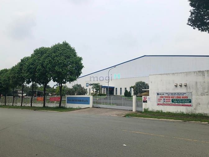 Hình ảnh Bán gấp trong tháng dãy trọ đôi hoặc lô đất 300m2 thổ cư SHR giá rẻ