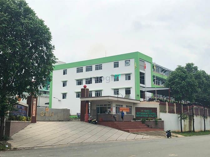 Hình ảnh Bán gấp trong tháng dãy trọ đôi hoặc lô đất 300m2 thổ cư SHR giá rẻ
