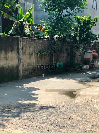 Hình ảnh Thanh Lý Nhanh Lô Đất 2 MT - Hẻm Xe Hơi . Đường Số 8 , Linh Xuân , TĐ