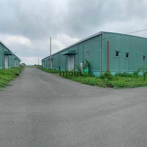 Hình ảnh Cho thuê KHO/ĐẤT quy mô từ 3000 đến 8000m2 - GIÁ HỢP LÍ
