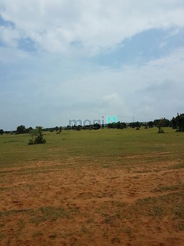 Hình ảnh Bán 7425m2 đất Mb6666 game giải trí miễn phí phan thanh cách ql 2km chỉ 594tr
