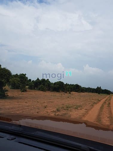 Hình ảnh Bán 7425m2 đất Mb6666 game giải trí miễn phí phan thanh cách ql 2km chỉ 594tr