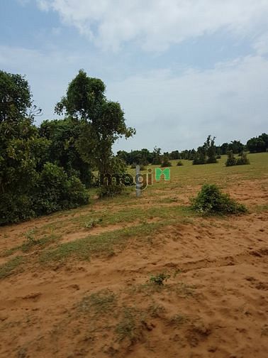 Hình ảnh Bán 7425m2 đất Mb6666 game giải trí miễn phí phan thanh cách ql 2km chỉ 594tr