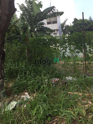 Hình ảnh Đất mtkd đường 24a khu tên lửa giá 9,1 tỷ dt 4x20m