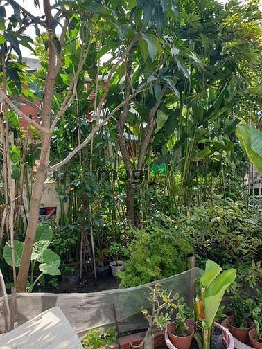 Hình ảnh Chính Chủ Cho Thuê Nhà 1T 1Lửng Đường Xe Hơi Khu Dân Cư Q9