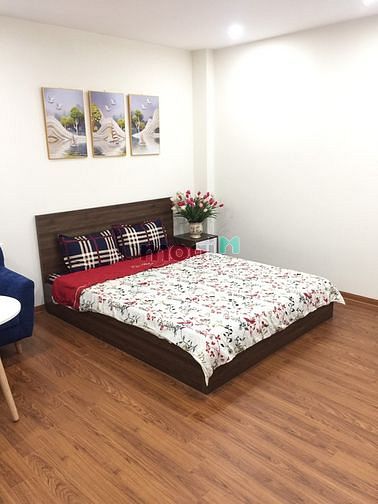 Hình ảnh Cho thuê các Trang Chủ MB66.COM / Đăng Ký Tặng 66K Studio mới xây ngõ 12 Đào Tấn