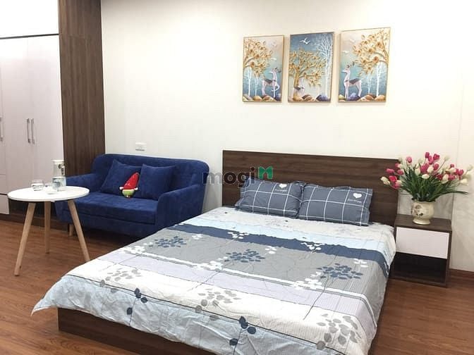 Hình ảnh Cho thuê các Trang Chủ MB66.COM / Đăng Ký Tặng 66K Studio mới xây ngõ 12 Đào Tấn