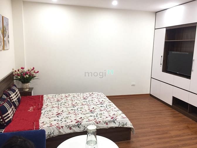 Hình ảnh Cho thuê các Trang Chủ MB66.COM / Đăng Ký Tặng 66K Studio mới xây ngõ 12 Đào Tấn