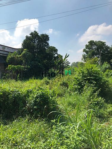 Hình ảnh Cần bán đất đường 658 - xã Phước Thạnh - Củ Chi