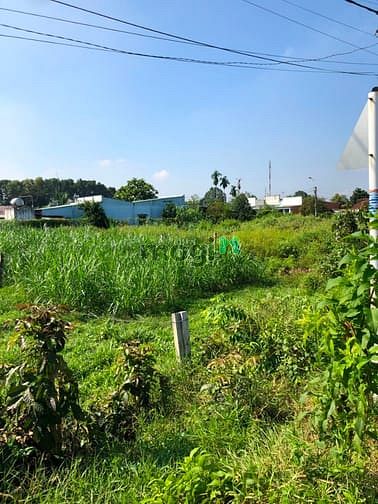 Hình ảnh Cần bán đất đường 642 - xã Phước Thạnh - Củ Chi