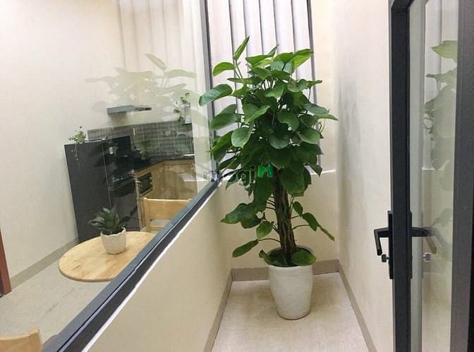 Hình ảnh Nhà 6 Trang Chủ MB66.COM / Đăng Ký Tặng 66K cho thuê gần cầu Rồng - B267