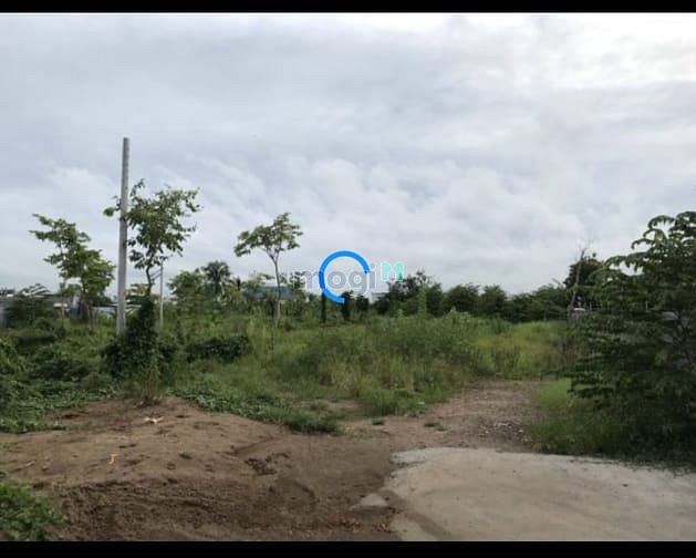 Hình ảnh bán đất dt 1,3h phường long trường , quận 9, tp hcm